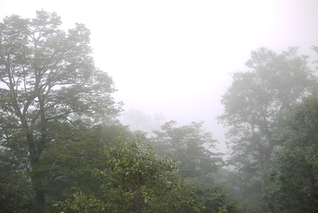 a0127090_19405527.jpg