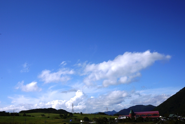 a0127090_19575098.jpg
