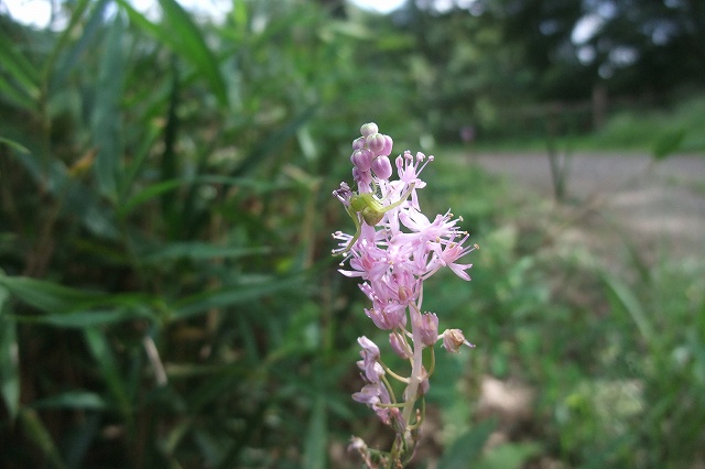 e0070891_18121349.jpg
