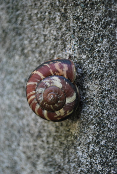 e0172592_23401191.jpg