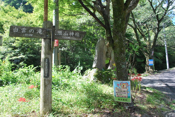 e0172592_23452436.jpg