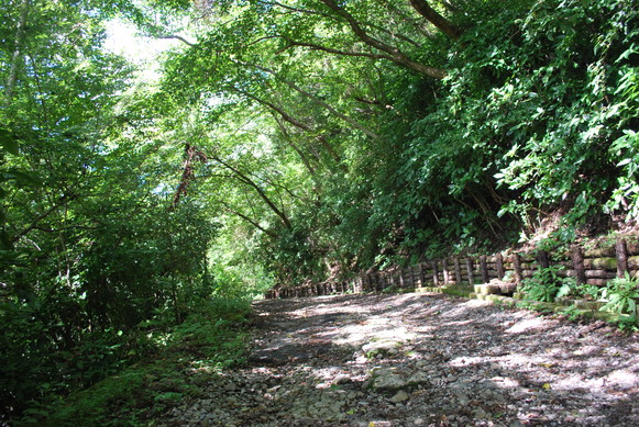e0172592_23474434.jpg