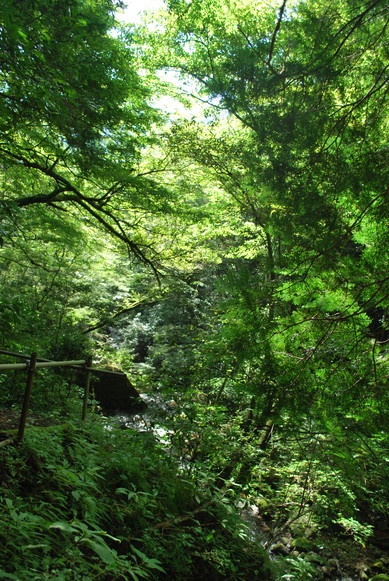 e0172592_23493297.jpg