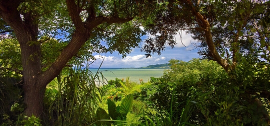 c0124795_19265779.jpg