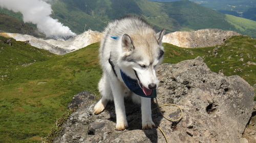 f0036700_1231668.jpg