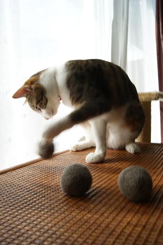 ゆすら玉_a0122205_17255073.jpg