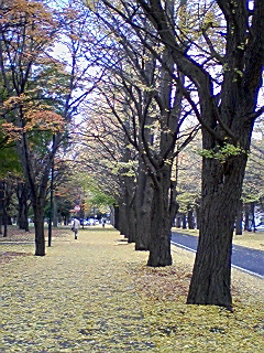 a0167308_16443379.jpg