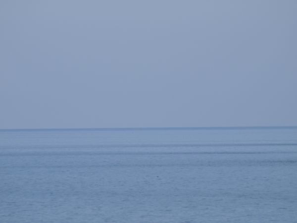 溝の先の海_c0164709_72439.jpg