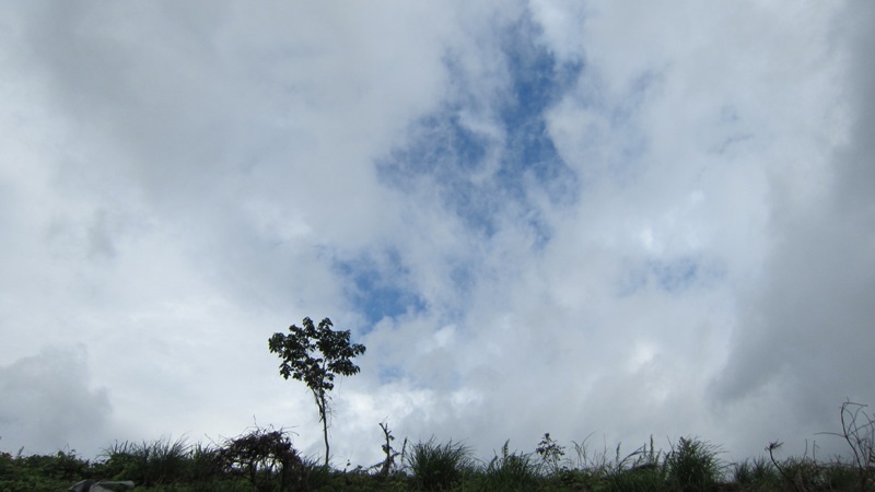 d0081210_172758.jpg