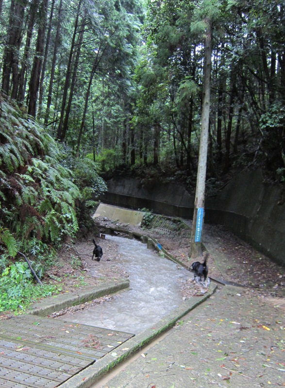 d0081210_1734928.jpg