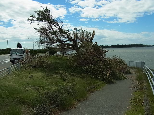 台風一過の浜名湖_f0169012_2363981.jpg