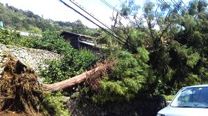 台風一過_e0234016_1818769.jpg