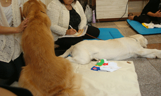 f0232522_12202.gif