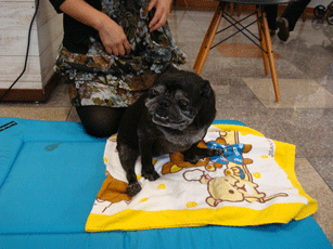 f0232522_125381.gif