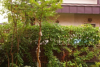 f0170524_1924973.jpg