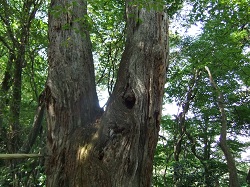 時水に行きました☆_e0061225_1725224.jpg