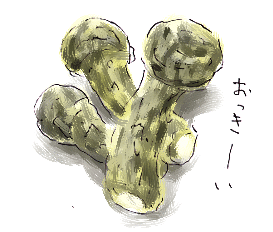 まつたけ_d0190828_6165731.gif