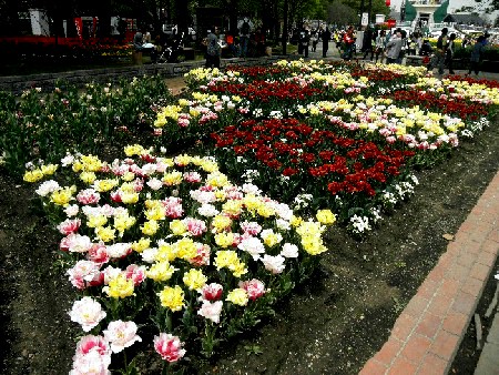 a0221829_19164252.jpg