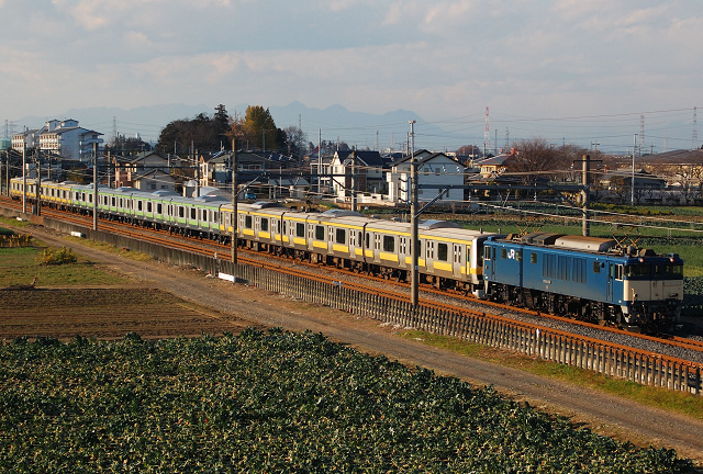 a0224334_24326.jpg