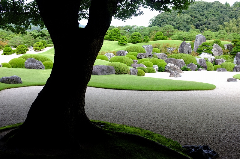 借景　足立美術館_f0050534_8252846.jpg