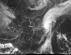 a0134136_06271.jpg