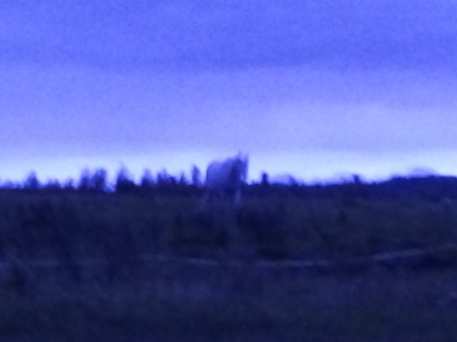 e0145441_21591681.jpg