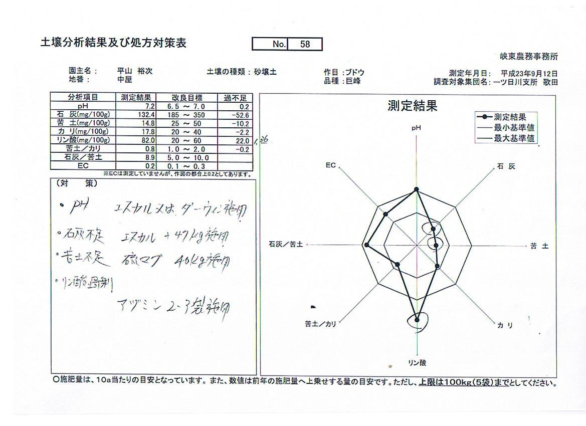 土壌分析_a0135342_947566.jpg