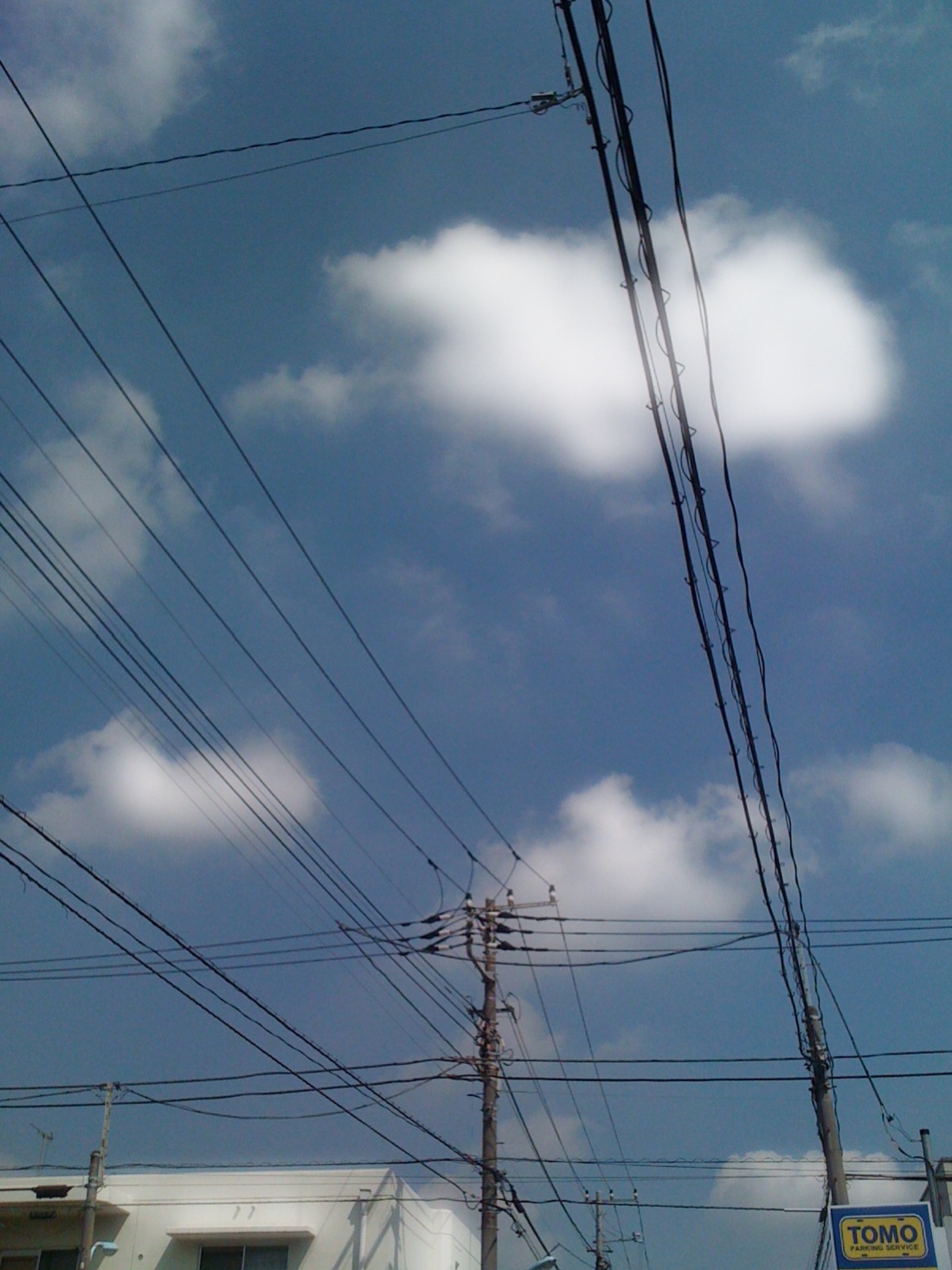 空に伸びる電線_b0098645_1594947.jpg