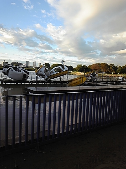a0055650_8394297.jpg