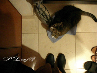 c0176651_0125753.gif