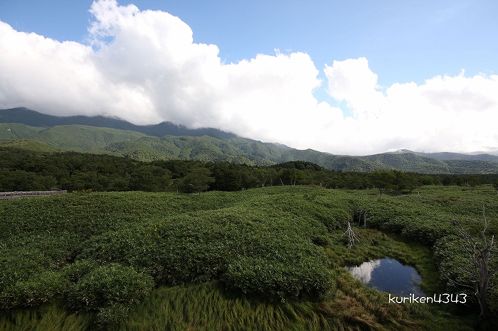 2011北海道旅行＠知床国立公園_c0122653_094164.jpg