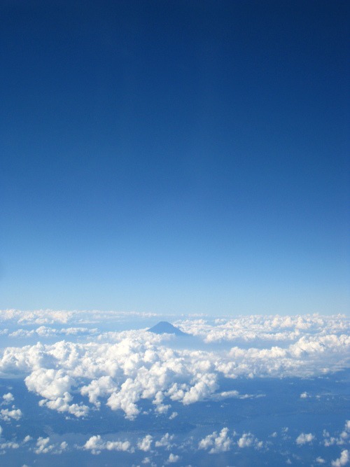 b0160957_921668.jpg