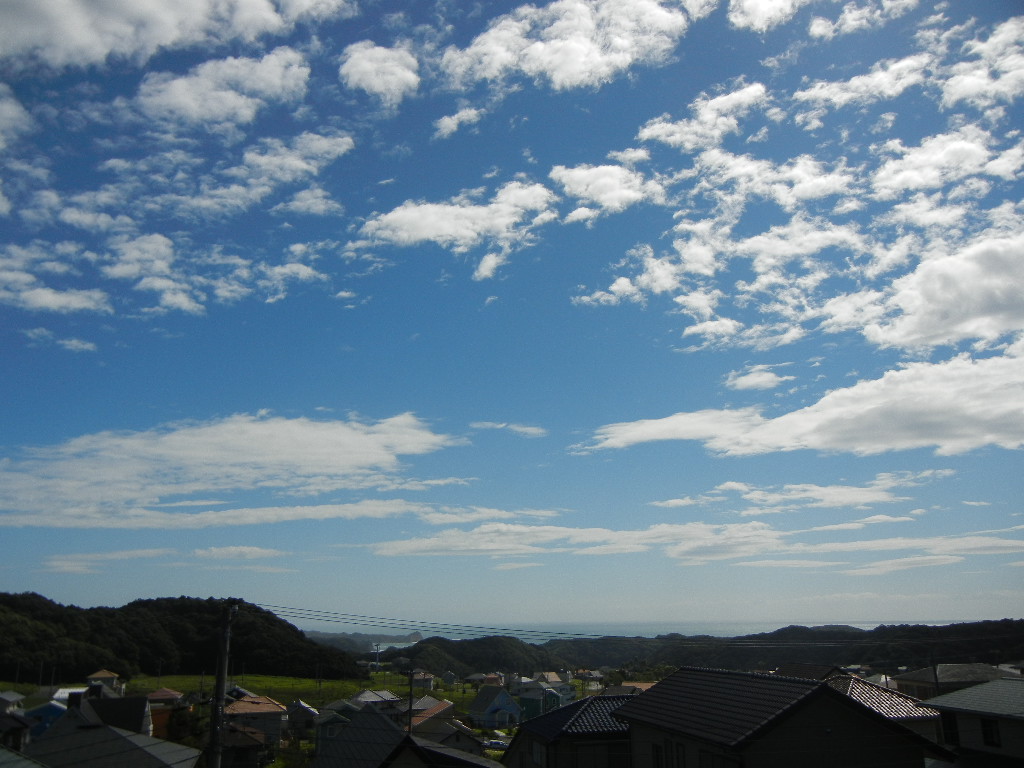 2011年9月22日(木)台風一過!_f0060461_13433141.jpg