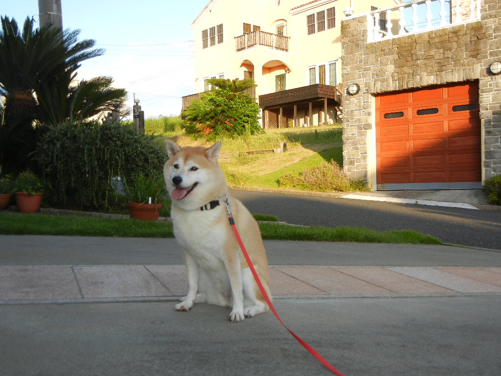 2011年9月22日(木)台風一過!_f0060461_13512379.jpg