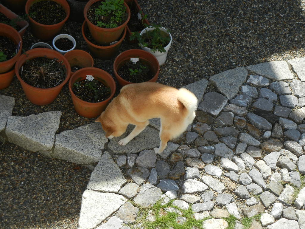 2011年9月22日(木)台風一過!_f0060461_13565938.jpg