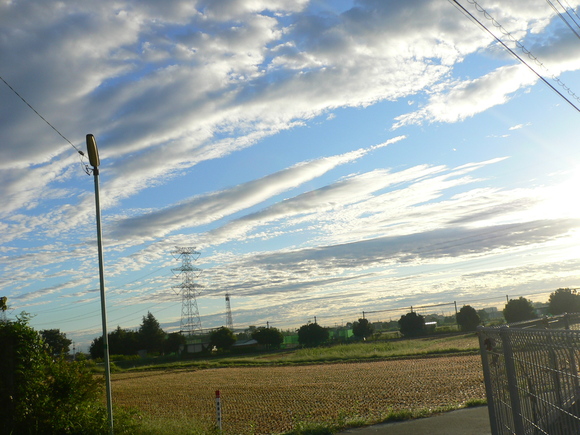 e0235963_20582912.jpg