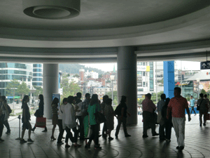 d0137664_22305365.gif