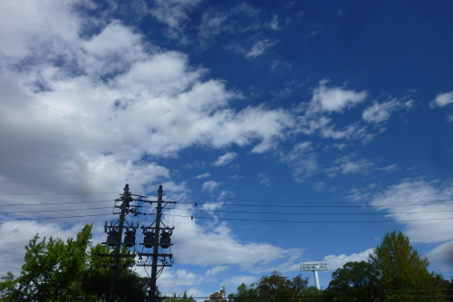 空が青い・・・台風一過。_d0173368_1826623.jpg
