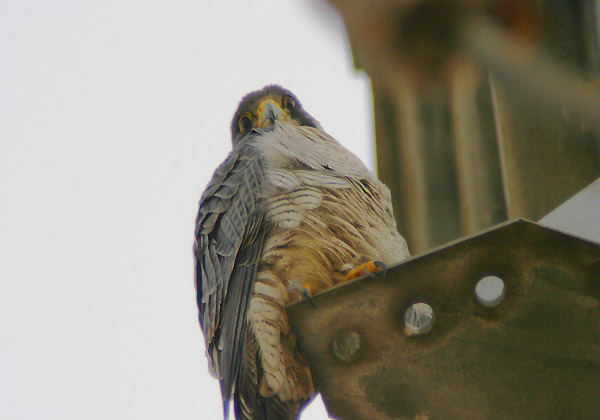 e0000968_22433270.jpg