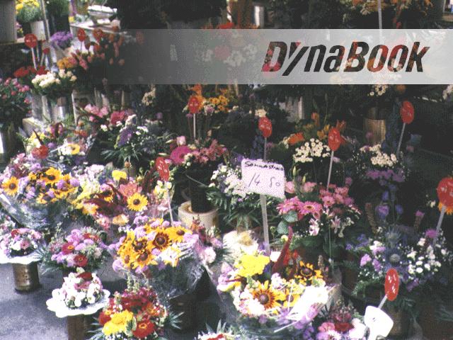 Dynabook Wallpapers 東芝パソコン昔懐かしの壁紙コレクション Dynabook Wallpapers 東芝パソコン昔懐かしの壁紙コレクション