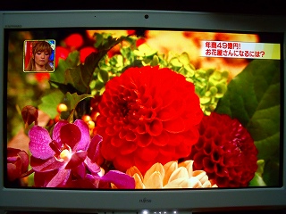 花屋さんになるには 奥会津 昭和村下中津川 みんな大好きかすみ草 花屋さんになるには 奥会津 昭和村下中津川 みんな大好きかすみ草