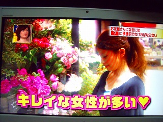 花屋さんになるには 奥会津 昭和村下中津川 みんな大好きかすみ草