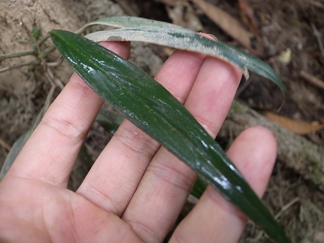 a0067578_8625.jpg