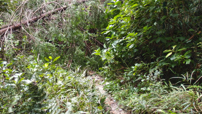 e0024081_1582834.jpg