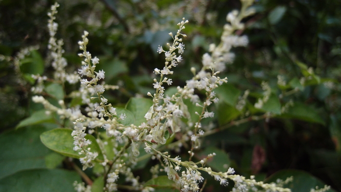 e0024081_1591454.jpg