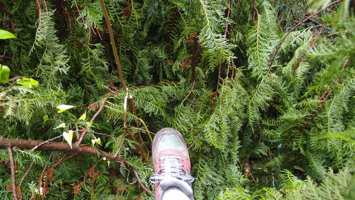 e0024081_1592795.jpg