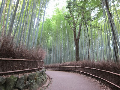 京都神戸の旅_d0133485_15204163.jpg