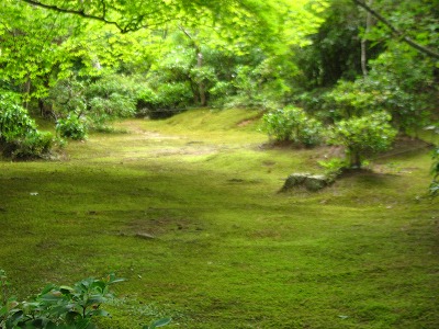 京都神戸の旅_d0133485_15211565.jpg