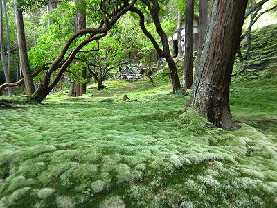 京都神戸の旅_d0133485_1532542.jpg