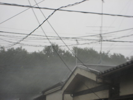 b0204887_8541651.jpg